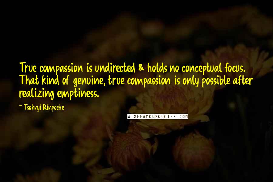 Tsoknyi Rinpoche Quotes: True compassion is undirected & holds no conceptual focus. That kind of genuine, true compassion is only possible after realizing emptiness.