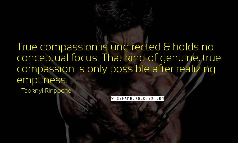 Tsoknyi Rinpoche Quotes: True compassion is undirected & holds no conceptual focus. That kind of genuine, true compassion is only possible after realizing emptiness.