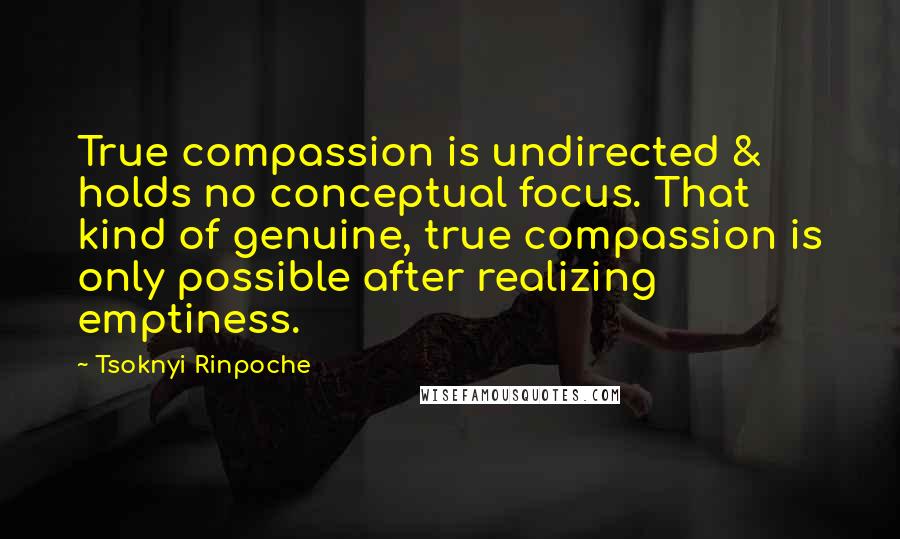 Tsoknyi Rinpoche Quotes: True compassion is undirected & holds no conceptual focus. That kind of genuine, true compassion is only possible after realizing emptiness.