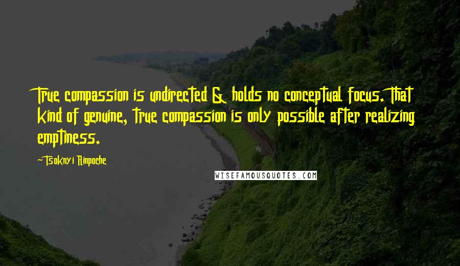 Tsoknyi Rinpoche Quotes: True compassion is undirected & holds no conceptual focus. That kind of genuine, true compassion is only possible after realizing emptiness.