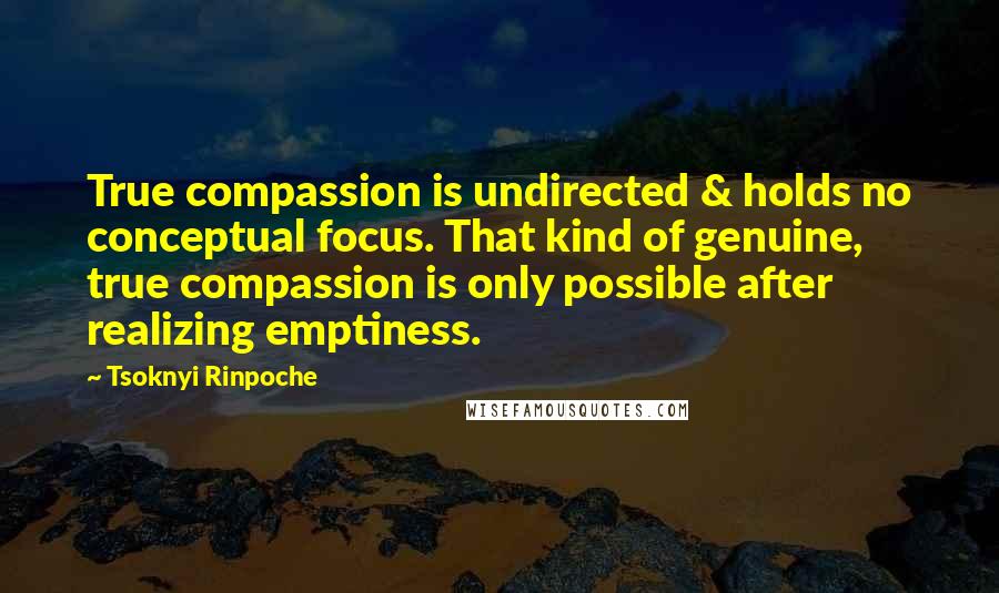 Tsoknyi Rinpoche Quotes: True compassion is undirected & holds no conceptual focus. That kind of genuine, true compassion is only possible after realizing emptiness.