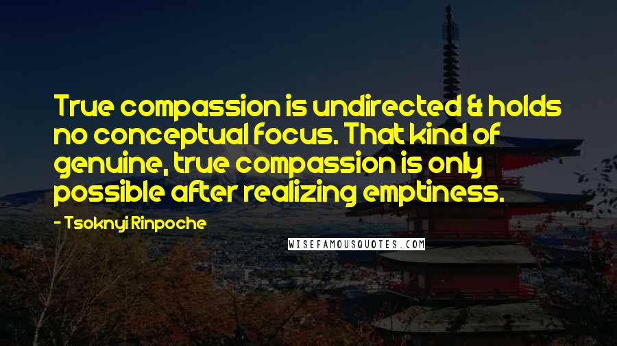 Tsoknyi Rinpoche Quotes: True compassion is undirected & holds no conceptual focus. That kind of genuine, true compassion is only possible after realizing emptiness.