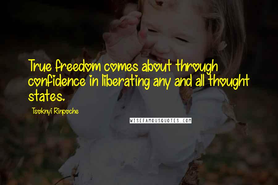 Tsoknyi Rinpoche Quotes: True freedom comes about through confidence in liberating any and all thought states.