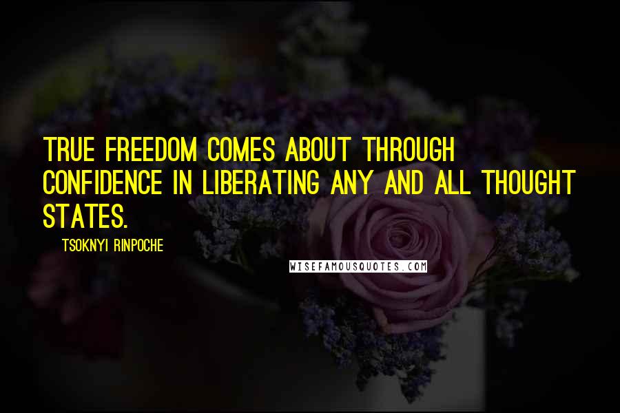 Tsoknyi Rinpoche Quotes: True freedom comes about through confidence in liberating any and all thought states.