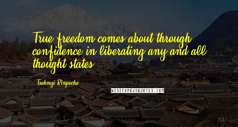 Tsoknyi Rinpoche Quotes: True freedom comes about through confidence in liberating any and all thought states.