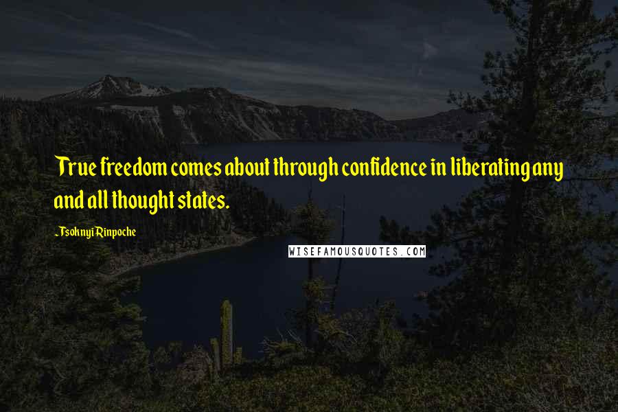 Tsoknyi Rinpoche Quotes: True freedom comes about through confidence in liberating any and all thought states.
