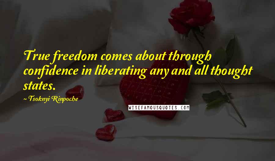 Tsoknyi Rinpoche Quotes: True freedom comes about through confidence in liberating any and all thought states.