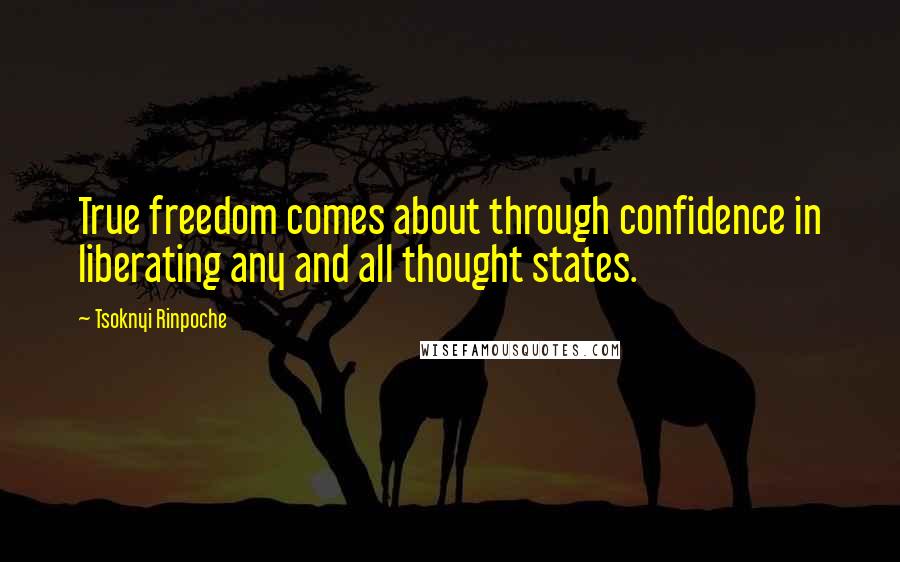 Tsoknyi Rinpoche Quotes: True freedom comes about through confidence in liberating any and all thought states.