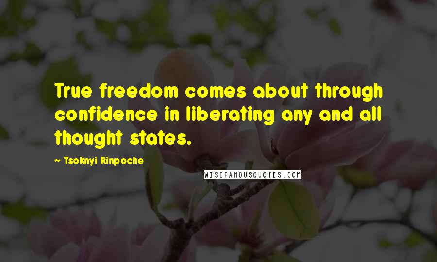 Tsoknyi Rinpoche Quotes: True freedom comes about through confidence in liberating any and all thought states.