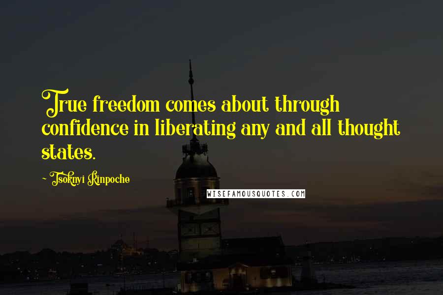 Tsoknyi Rinpoche Quotes: True freedom comes about through confidence in liberating any and all thought states.