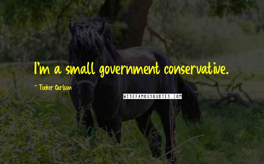 Tucker Carlson Quotes: I'm a small government conservative.