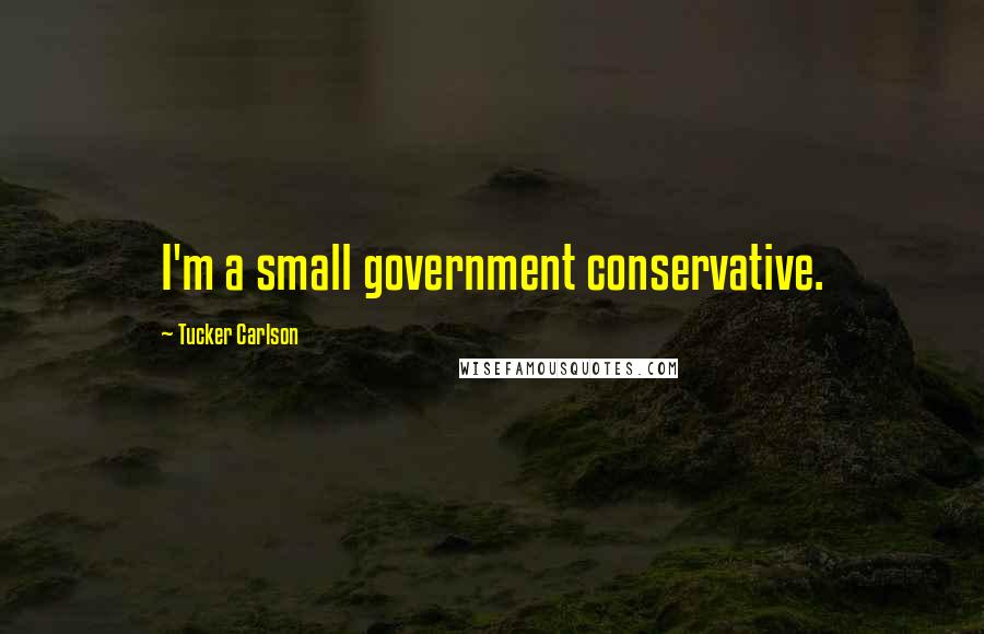 Tucker Carlson Quotes: I'm a small government conservative.