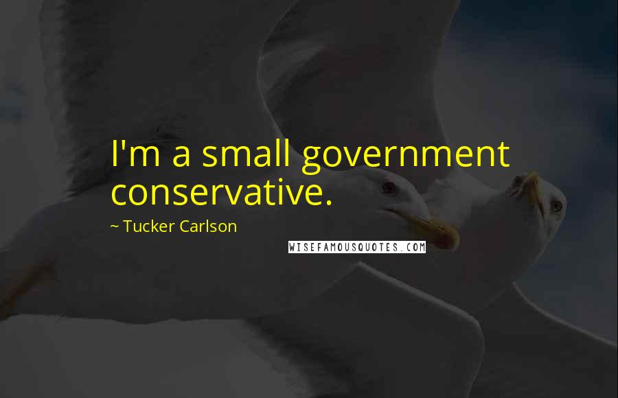 Tucker Carlson Quotes: I'm a small government conservative.