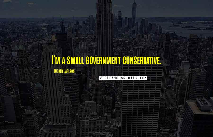 Tucker Carlson Quotes: I'm a small government conservative.