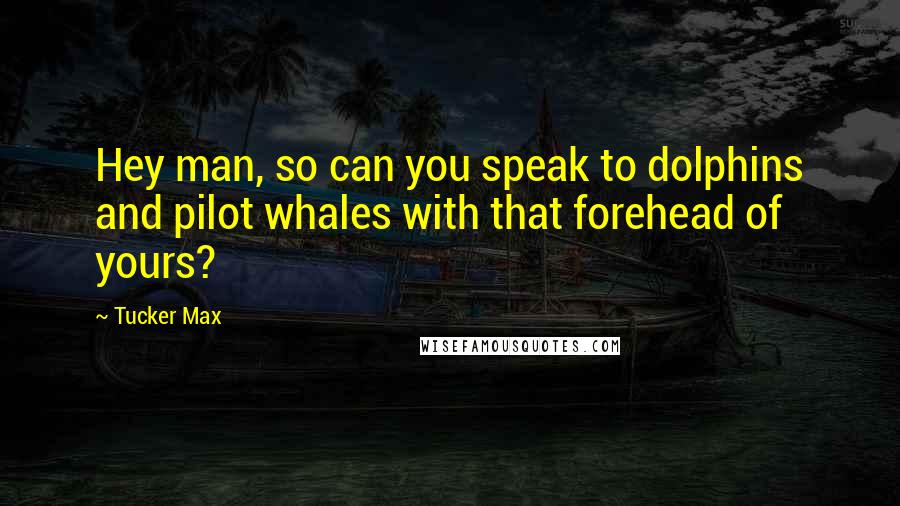 Tucker Max Quotes: Hey man, so can you speak to dolphins and pilot whales with that forehead of yours?
