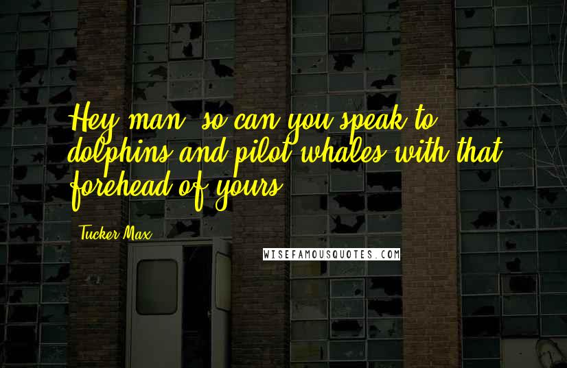 Tucker Max Quotes: Hey man, so can you speak to dolphins and pilot whales with that forehead of yours?