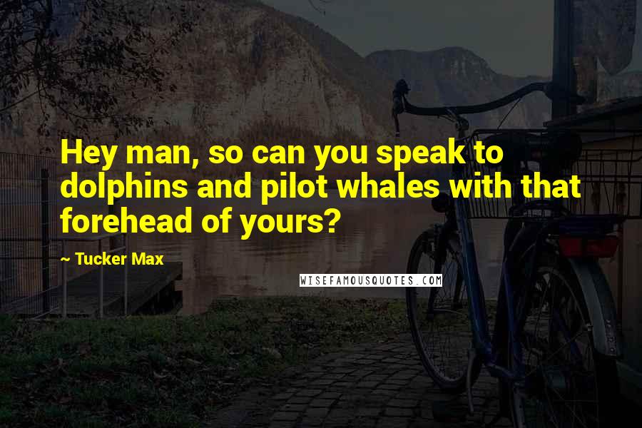 Tucker Max Quotes: Hey man, so can you speak to dolphins and pilot whales with that forehead of yours?