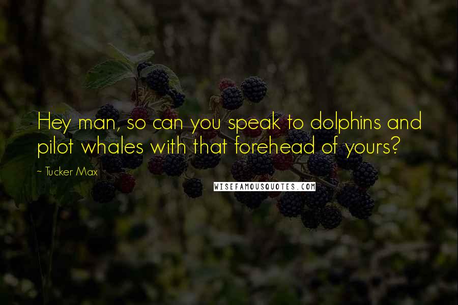 Tucker Max Quotes: Hey man, so can you speak to dolphins and pilot whales with that forehead of yours?