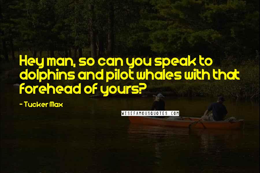 Tucker Max Quotes: Hey man, so can you speak to dolphins and pilot whales with that forehead of yours?