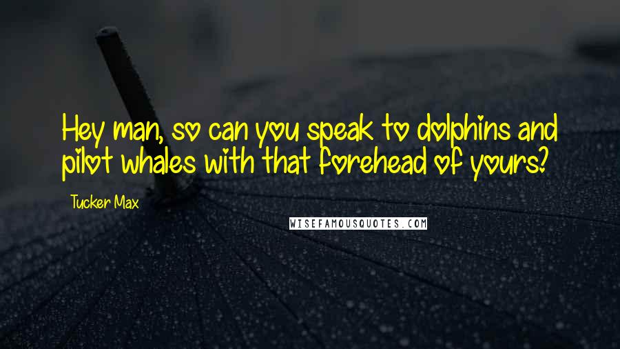 Tucker Max Quotes: Hey man, so can you speak to dolphins and pilot whales with that forehead of yours?