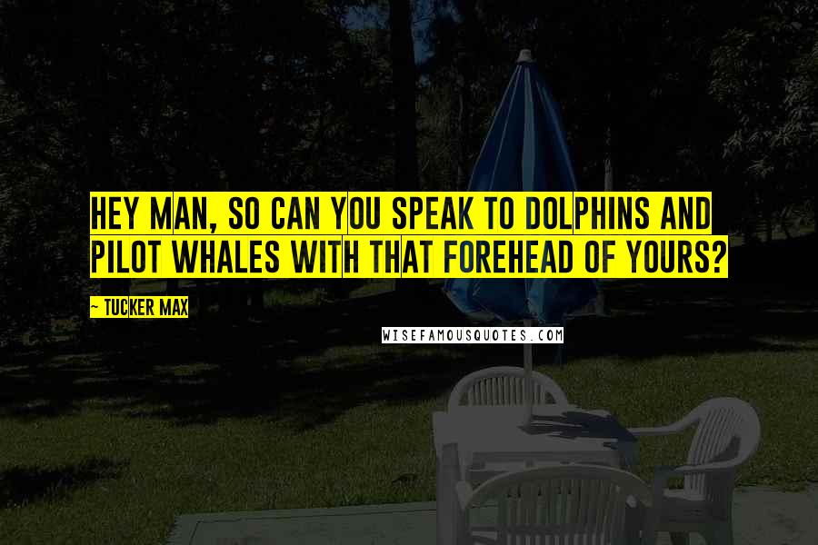 Tucker Max Quotes: Hey man, so can you speak to dolphins and pilot whales with that forehead of yours?