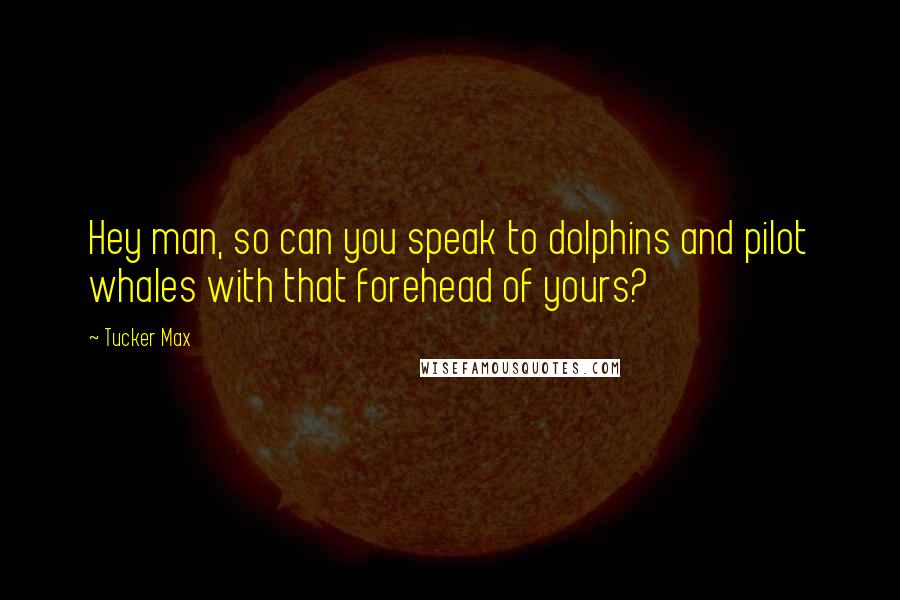 Tucker Max Quotes: Hey man, so can you speak to dolphins and pilot whales with that forehead of yours?