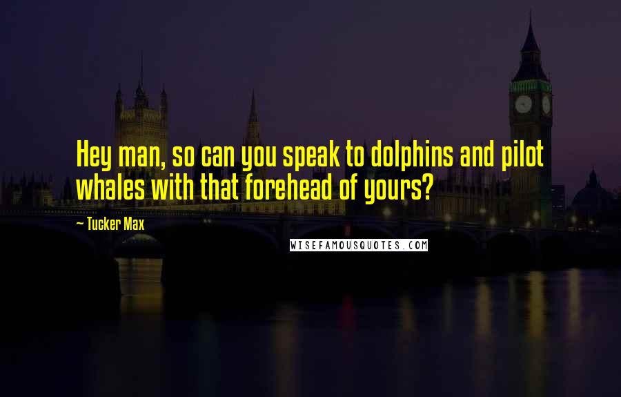 Tucker Max Quotes: Hey man, so can you speak to dolphins and pilot whales with that forehead of yours?