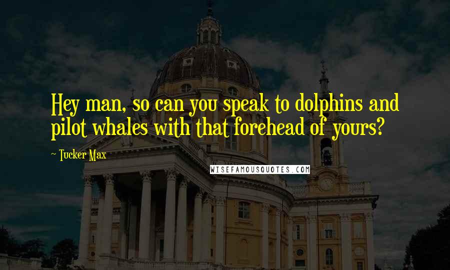 Tucker Max Quotes: Hey man, so can you speak to dolphins and pilot whales with that forehead of yours?