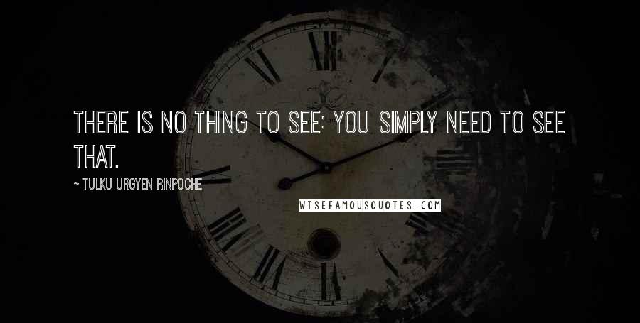Tulku Urgyen Rinpoche Quotes: There is no thing to see: you simply need to see that.
