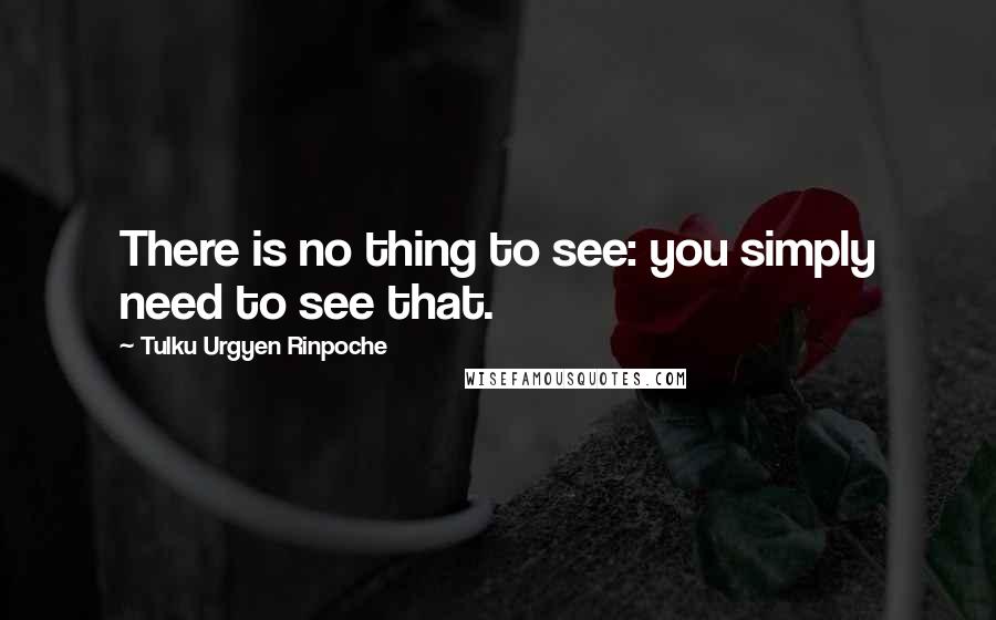 Tulku Urgyen Rinpoche Quotes: There is no thing to see: you simply need to see that.