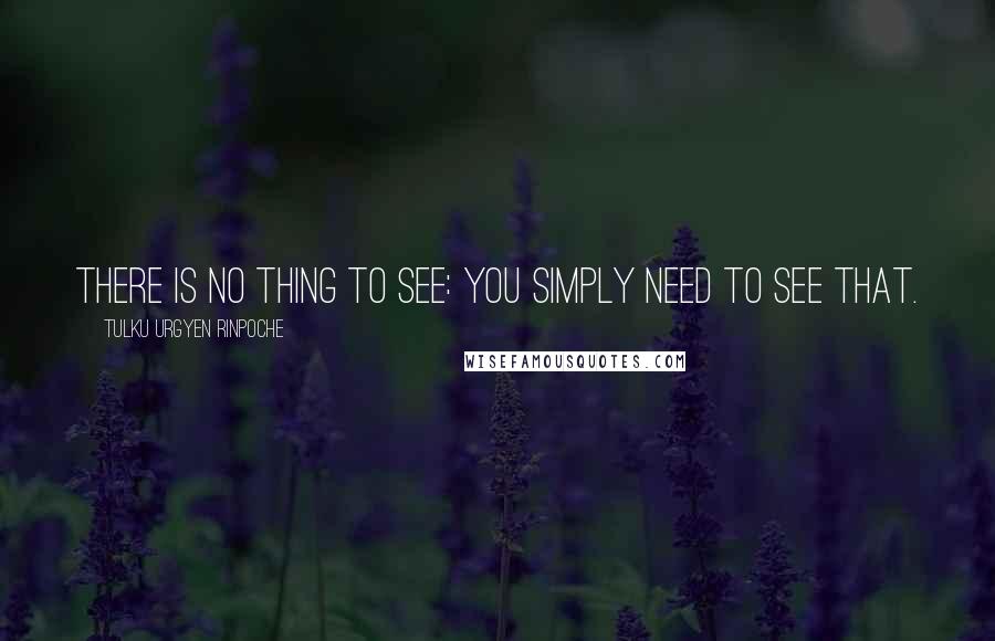 Tulku Urgyen Rinpoche Quotes: There is no thing to see: you simply need to see that.