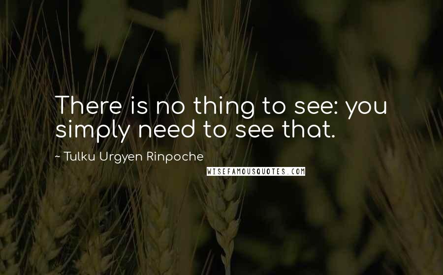 Tulku Urgyen Rinpoche Quotes: There is no thing to see: you simply need to see that.