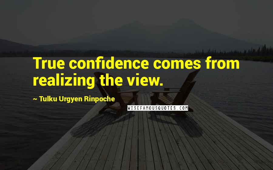 Tulku Urgyen Rinpoche Quotes: True confidence comes from realizing the view.