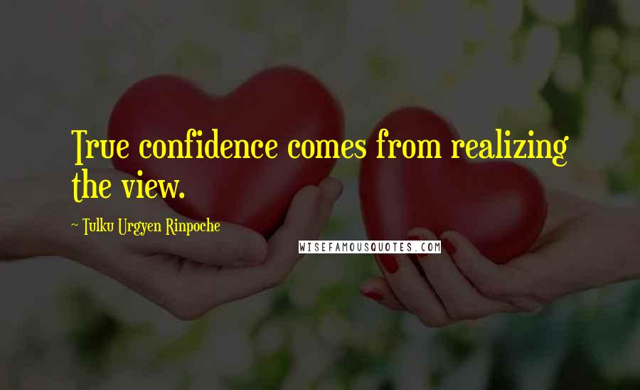 Tulku Urgyen Rinpoche Quotes: True confidence comes from realizing the view.