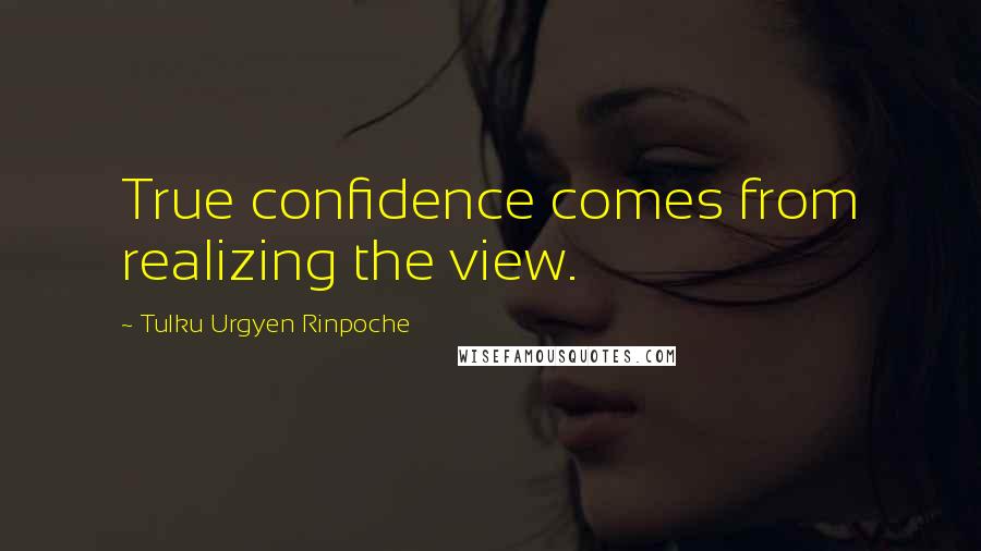 Tulku Urgyen Rinpoche Quotes: True confidence comes from realizing the view.