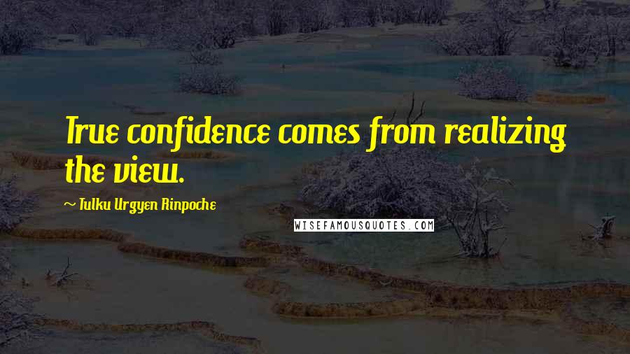 Tulku Urgyen Rinpoche Quotes: True confidence comes from realizing the view.