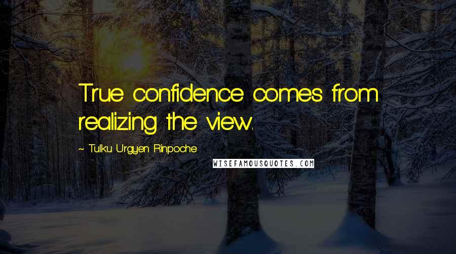 Tulku Urgyen Rinpoche Quotes: True confidence comes from realizing the view.