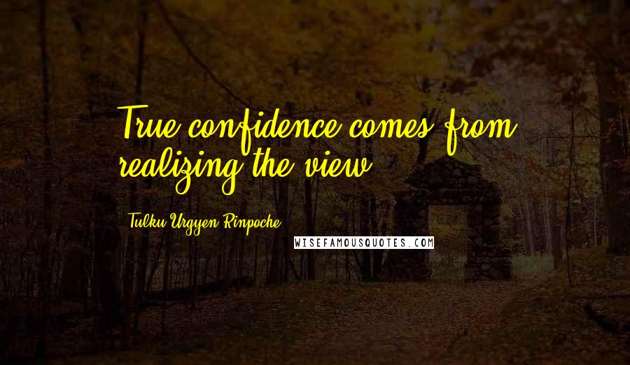 Tulku Urgyen Rinpoche Quotes: True confidence comes from realizing the view.