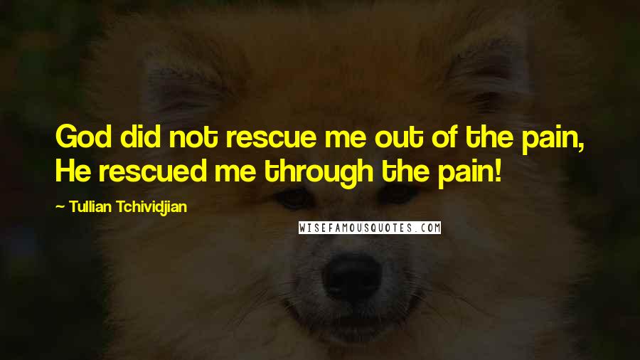 Tullian Tchividjian Quotes: God did not rescue me out of the pain, He rescued me through the pain!