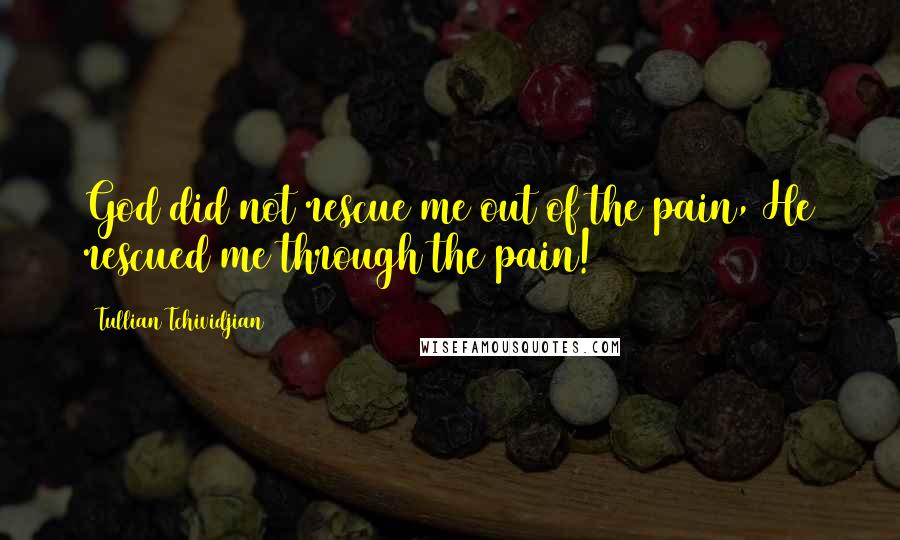 Tullian Tchividjian Quotes: God did not rescue me out of the pain, He rescued me through the pain!