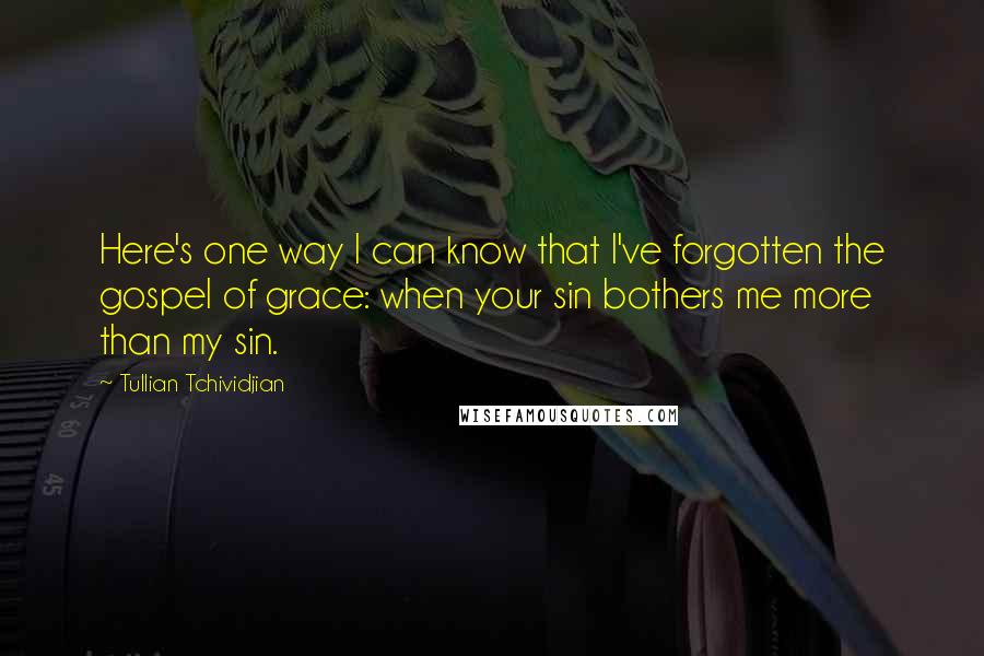 Tullian Tchividjian Quotes: Here's one way I can know that I've forgotten the gospel of grace: when your sin bothers me more than my sin.