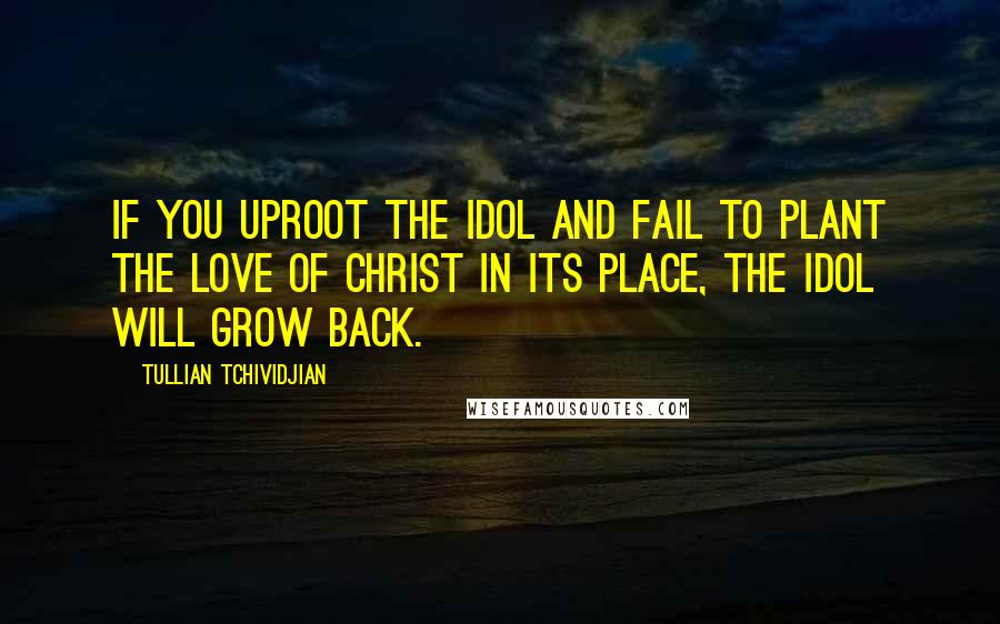 Tullian Tchividjian Quotes: If you uproot the idol and fail to plant the love of Christ in its place, the idol will grow back.