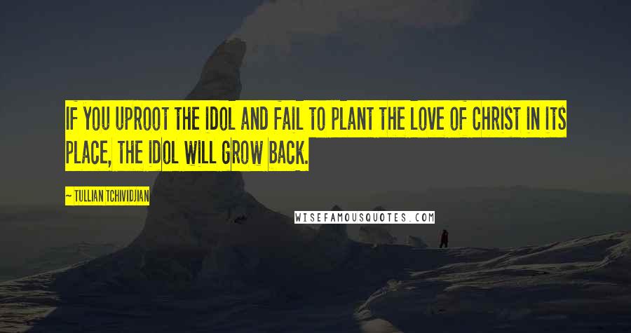 Tullian Tchividjian Quotes: If you uproot the idol and fail to plant the love of Christ in its place, the idol will grow back.