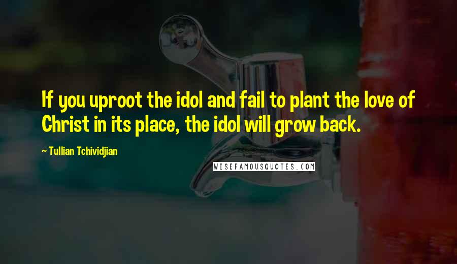 Tullian Tchividjian Quotes: If you uproot the idol and fail to plant the love of Christ in its place, the idol will grow back.