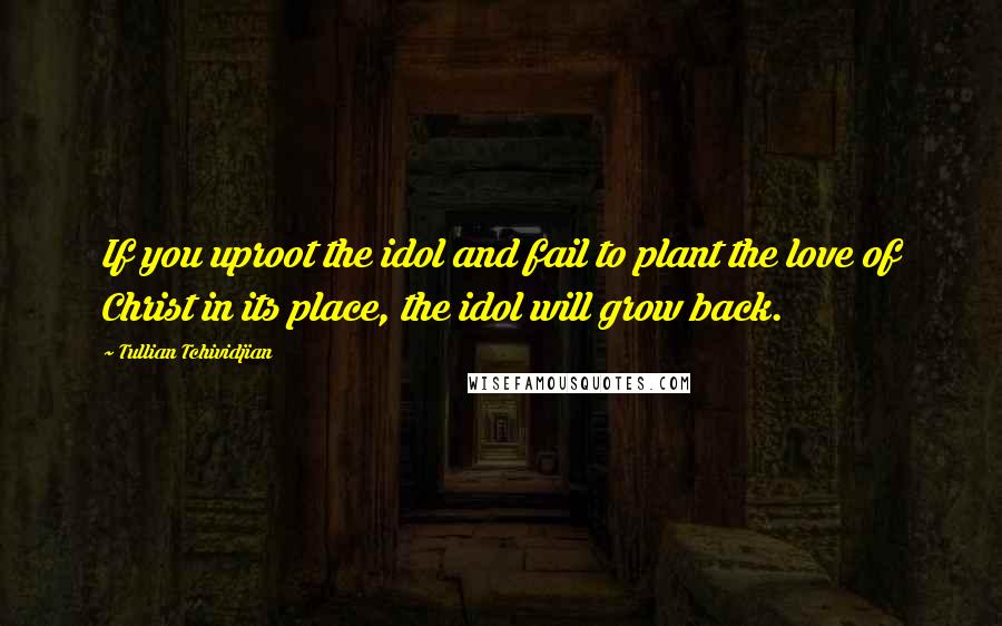 Tullian Tchividjian Quotes: If you uproot the idol and fail to plant the love of Christ in its place, the idol will grow back.