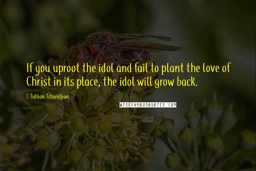 Tullian Tchividjian Quotes: If you uproot the idol and fail to plant the love of Christ in its place, the idol will grow back.