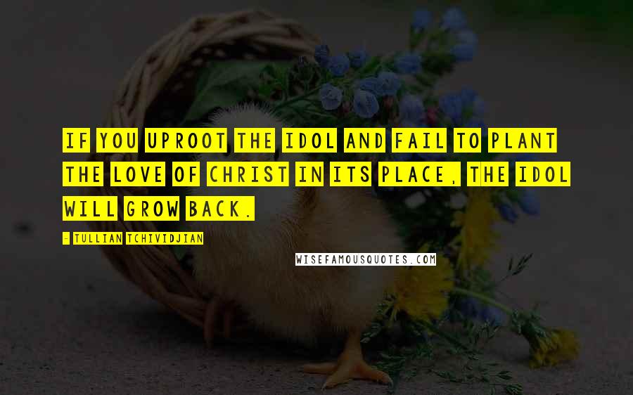 Tullian Tchividjian Quotes: If you uproot the idol and fail to plant the love of Christ in its place, the idol will grow back.