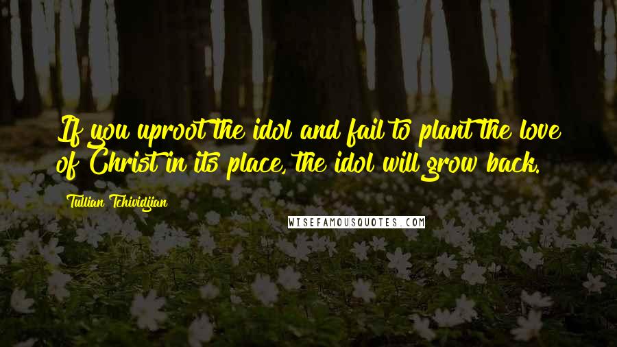 Tullian Tchividjian Quotes: If you uproot the idol and fail to plant the love of Christ in its place, the idol will grow back.
