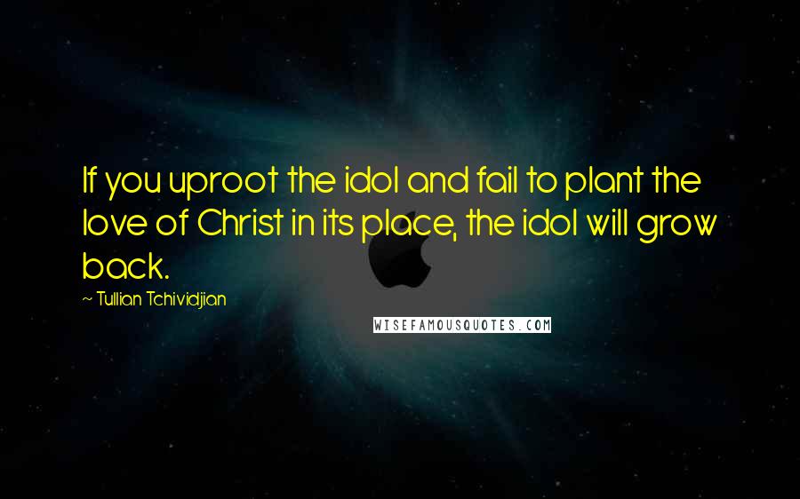 Tullian Tchividjian Quotes: If you uproot the idol and fail to plant the love of Christ in its place, the idol will grow back.