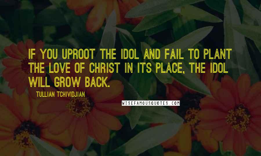 Tullian Tchividjian Quotes: If you uproot the idol and fail to plant the love of Christ in its place, the idol will grow back.